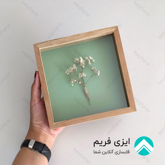 چوب راش