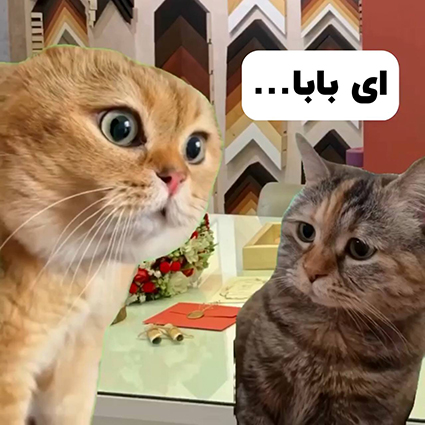 دیالوگ گربه های سخنگو