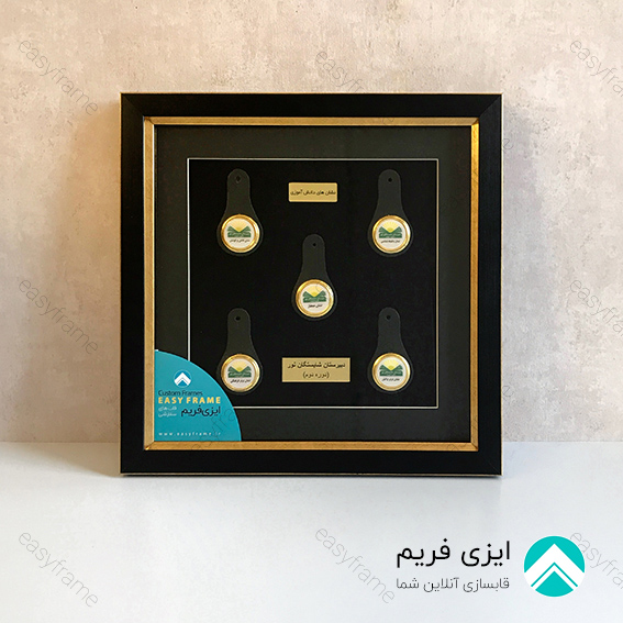 قاب مدال دانش آموزی